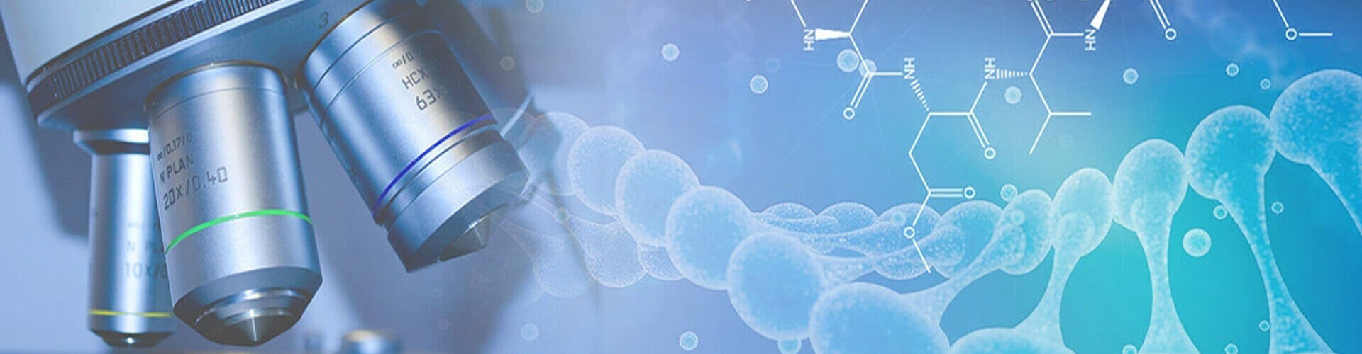 Ascent Petrochem Holdings Co., Limited