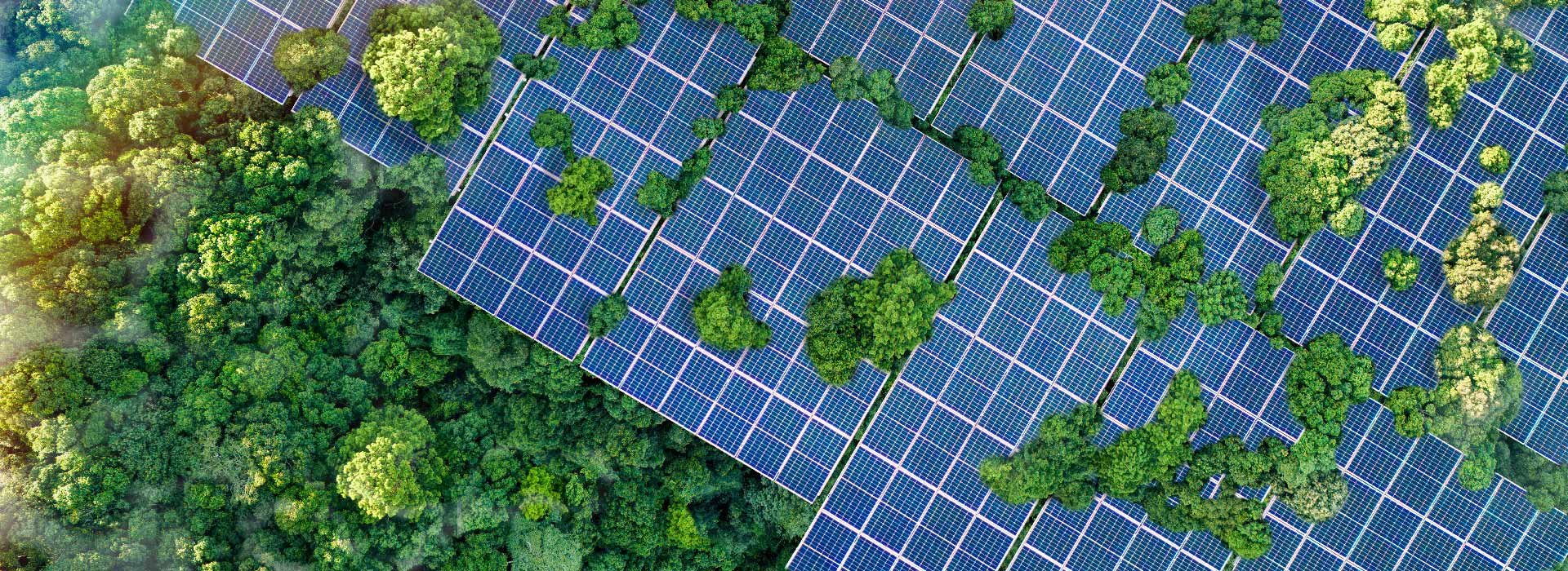 Ascent Petrochem Holdings Co., Limited