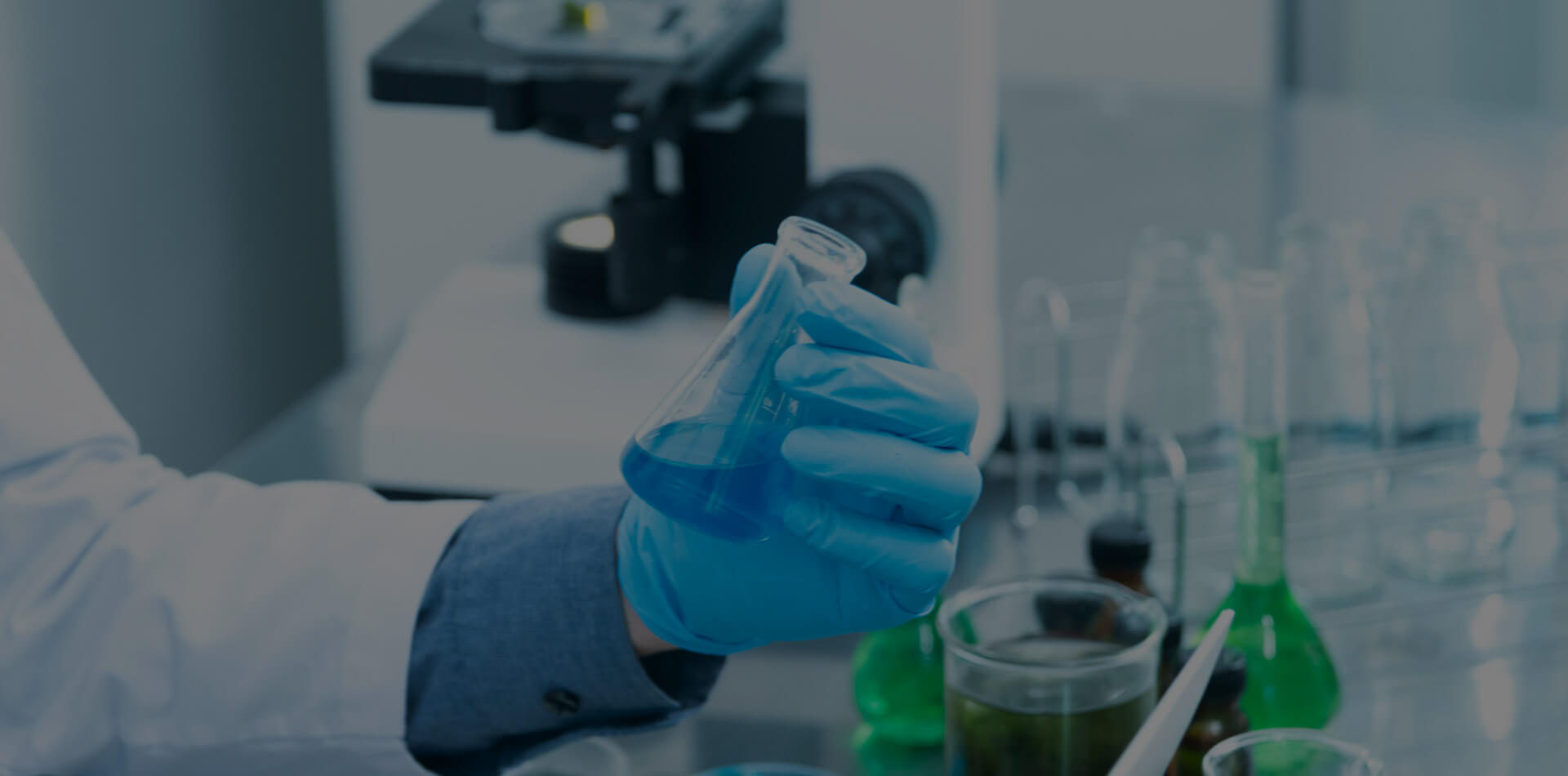 Ascent Petrochem Holdings Co., Limited