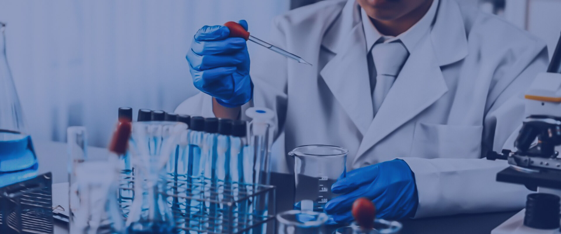 Ascent Petrochem Holdings Co., Limited